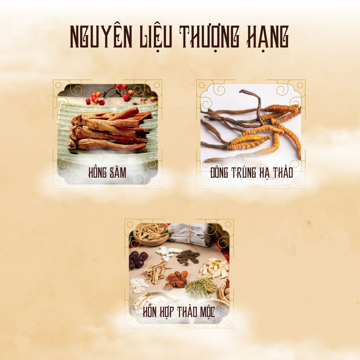 Cao Hồng Sâm Đông Trùng Hạ Thảo 2 lọ x 250g Hàn Quốc